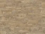 546037