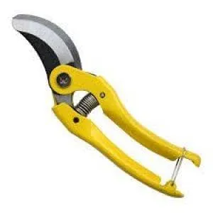 400916