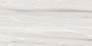 306463