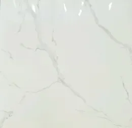 29102