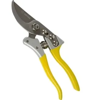 258503