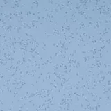 881182