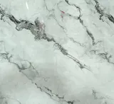 499079